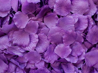 Purple Aisle Rose Petals, 500ct 