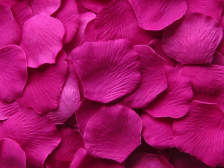 Raspberry silk rose petals, bag of 100 