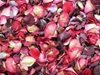Red, Pink, and Purple Rose Petals for Pathways 