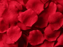 Red silk rose petals, bag of 100 