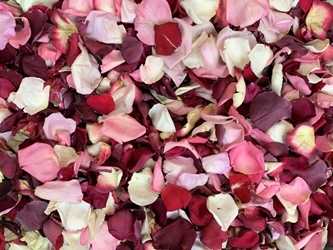 Romance Blend Rose Petals for Pathways 
