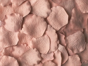 Rose Quartz silk rose petals, bag of 100 