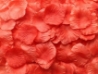 Salmon Aisle Rose Petals, 500ct 