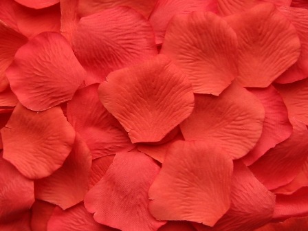 Salmon silk rose petals, bag of 100 