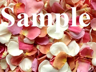 Sample of freeze dried rose petals 
