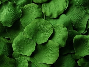 Shamrock silk rose petals, bag of 100 