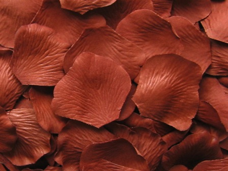 Spice silk rose petals, bag of 100 
