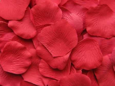 Strawberry silk rose petals, bag of 100 