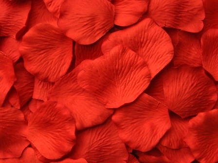 Tabasco silk rose petals, bag of 100 
