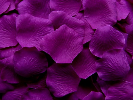 Violet silk rose petals, bag of 100 