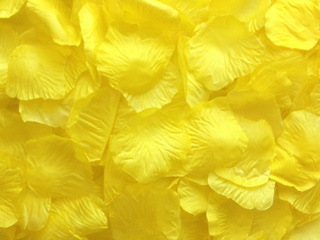 Yellow Aisle Rose Petals, 500ct 