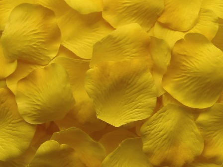 Yellow silk rose petals, bag of 100 