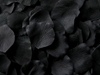 Black Silk Floating Petals 