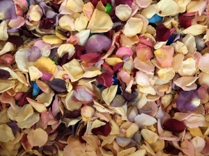 Bulk Budget Petals 
