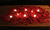 Romance package, 1000 Silk Petals + candles, BURGUNDY 