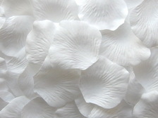 White Silk Floating Petals 