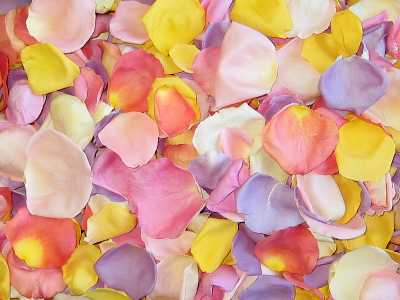 Pathway Petals 