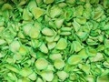 Dyed Green