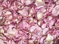 Rosy Mauve