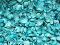Teal - dyed