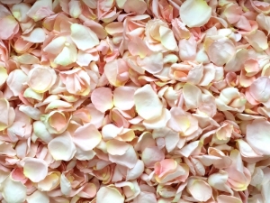 REAL Freeze Dried Rose Petals 