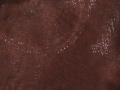 Mocha