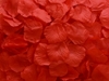 Red Aisle Rose Petals, 500ct 
