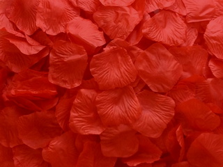 Red Aisle Rose Petals, 500ct 