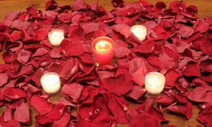Romance pkg w/ 24 cups Burgundy freeze dried rose petals 
