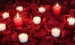 Romance package, 2000 Silk Petals - r2000r