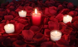 Romance package, 1000 Silk Petals 