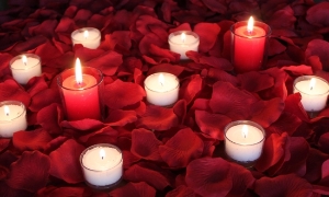 Romance package, 2000 Silk Petals 